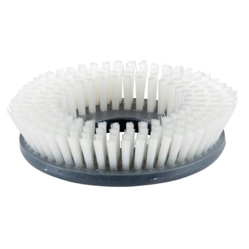 Brosse à récurer Supernylon Duomatic C50 E, EM, B, BM, BA, BMA et Duomatic Esprit photo du produit Front View L