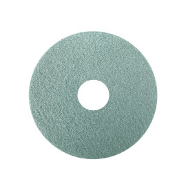 Diamantpad green 10", 255 x 22 mm Duomatic C50 E, EM, B, BM, BA et BMA et Duomatic Esprit, Intense et Impulse 50 photo du produit