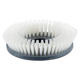 Brosse à récurer Supernylon Duomatic C50 E, EM, B, BM, BA, BMA et Duomatic Esprit photo du produit