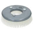 Brosse à récurer Duomatic C43 E, EM, B, BM, BA, BMA/Discomatic Mambo/Mambo PRO photo du produit